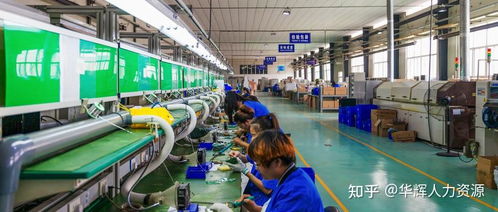 電子廠普工 現代制造業的基石，電子配件的組裝者